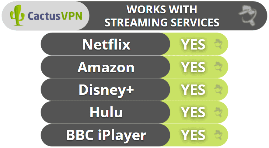 Transmisión y torrenting de cactusvpn