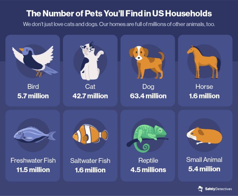 The Most (and Least) Pet-Friendly States In America