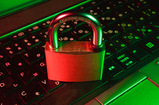 Mullvad VPN, Tor Create Security-Focused Browser