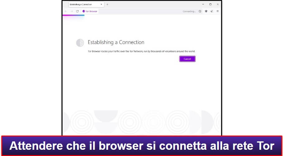 Tor:con Come Usare Tor Browser , Usare Tor con Brave Browser – XYXWD